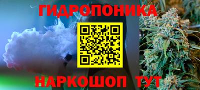гашик Свободный