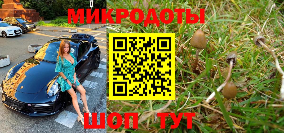 Галлюциногенные грибы мицелий  Псилоцибиновые грибы Cubensis  Вход с VPN  Нововоронеж 